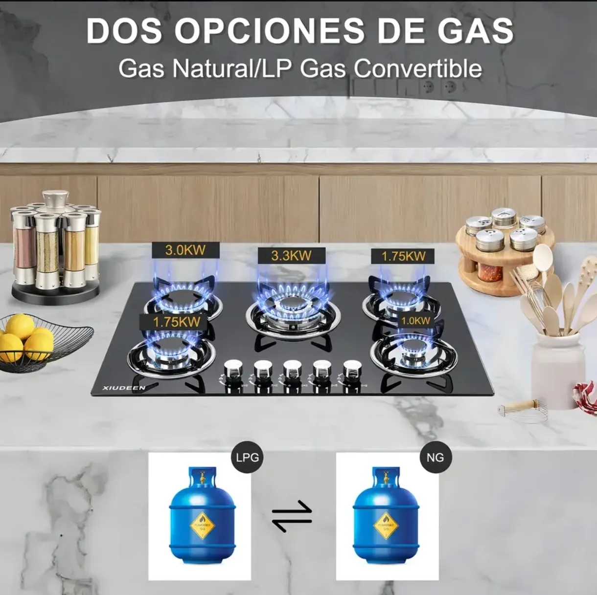 Parrilla de Gas Empotrable XIUDEEN 5 Quemadores Gas Natural/LP