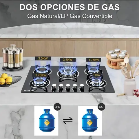 Parrilla de Gas Empotrable XIUDEEN 5 Quemadores Gas Natural/LP